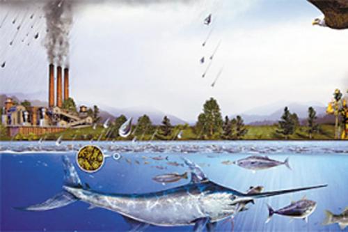 海洋环境中的汞污染是全球公共卫生问题