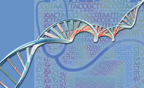 国际研究人员小组宣称多样性在基因组学研究中的重要性