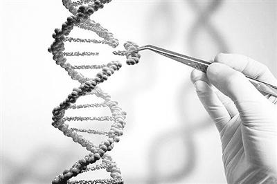 使用更具体的基因剪刀可以避免与基因编辑相关的问题