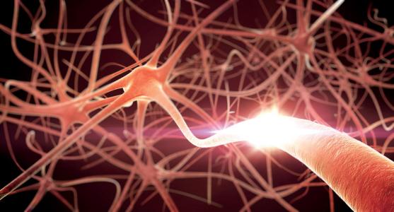 运动神经元适应力模型可促进ALS研究
