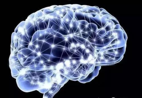 具有较高认知能力的人的脑网络更稳定