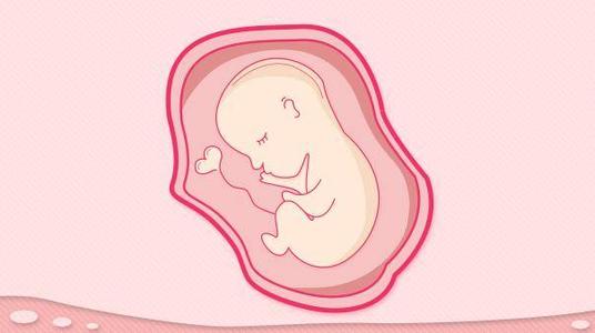 子宫颈中的细菌和免疫力可能是预测早产的关键