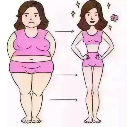 研究将围绝经期与加速脂肪量增加瘦体重减轻联系起来