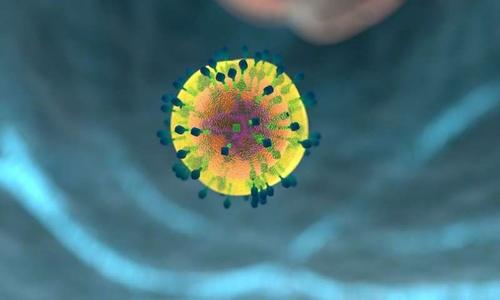 研究人员发现酶AEP对免疫力的重要性