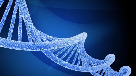 新研究发现基因组复制机的三维结构