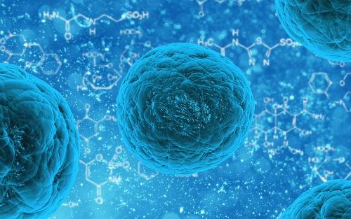 视力障碍者的干细胞疗法获得了成功