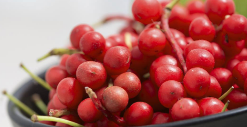 研究表明五味水果中的化合物可以保护肝脏