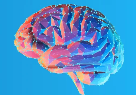 研究人员在大脑恐惧中心发现新途径
