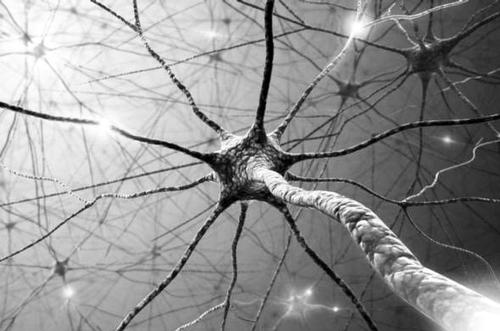 世界首创的人工神经元可以治愈慢性疾病