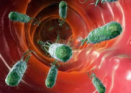 文章提出了微生物感染与许多癌症之间的重要粘蛋白联系