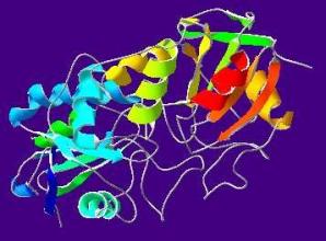 九州大学的研究人员确定了两种关键酶