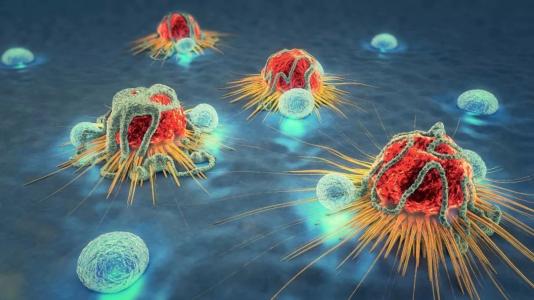 研究人员发现癌症免疫疗法的新方法