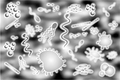 电吃微生物如何利用电子来固定二氧化碳