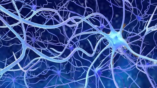 镶嵌神经元可能解释了神经退行性疾病的奥秘
