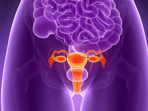 研究表明子宫内膜异位可以用抗癌药治疗
