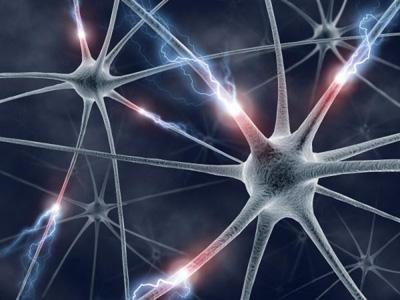 一项新的研究提供了对垂死神经生物学的见识