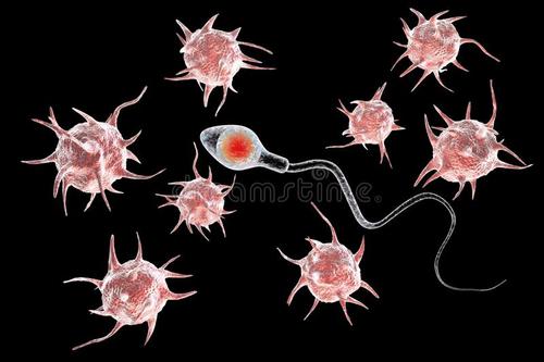 研究使用RNA测序技术首次了解精子微生物组