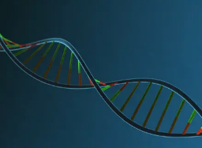 研究发现蛋白质在基因表达中的作用