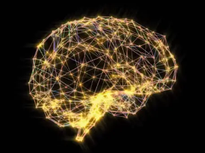 科学家开发出一种新的映射大脑的算法