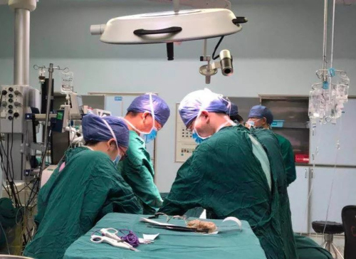 克利夫兰诊所的首例纯腹腔镜活体供体肝移植手术