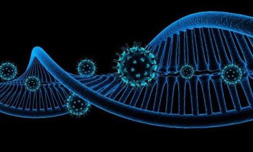 隐藏在祖先的DNA中的病毒正在唤醒