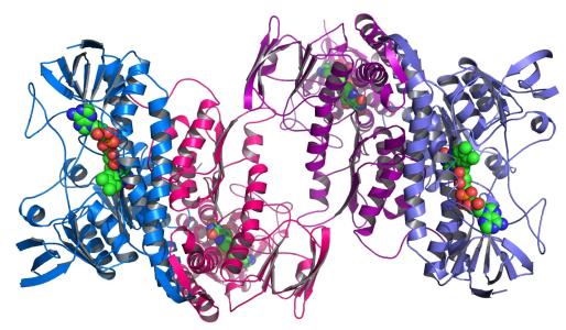 确定蛋白质结构的新技术可能解决生物医学难题