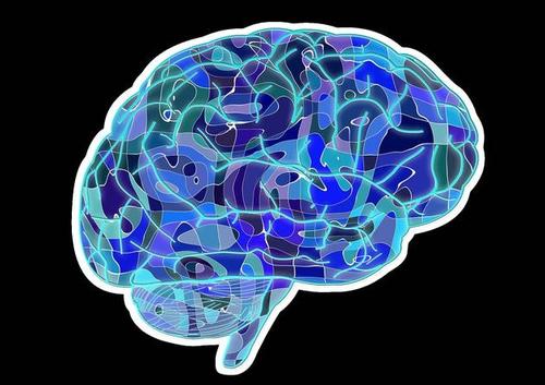 大脑的奖励系统如何响应食物和药物