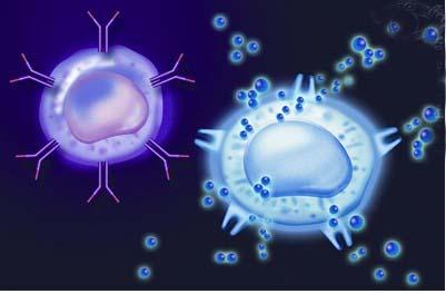 阻止免疫细胞中的能量产生有助于肿瘤逃脱治疗