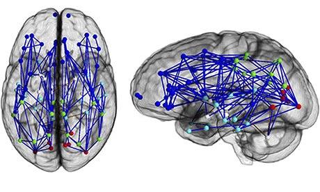 研究人员发现脑回路介导恐惧记忆召回