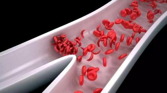 科学家发现扩张血管的蛋白质