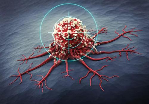 纽约大学阿布扎比研究人员设计了靶向癌症药物输送的新技术