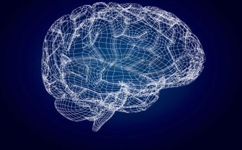 科学家测量大脑中感官刺激的处理方式