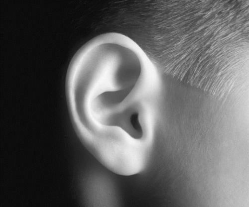 研究表明由于大脑周围信号的抑制性流动人们会听到闪烁的声音
