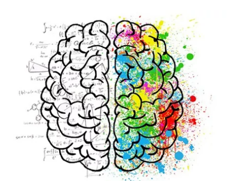 大脑区域联手形成新的记忆