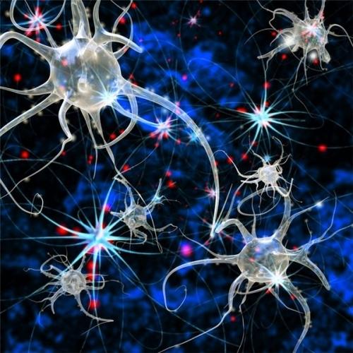 科学家绘制了治理干渴的神经回路图