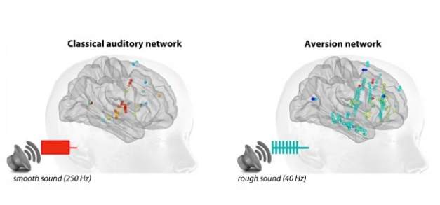 为什么苛刻的声音会干扰大脑