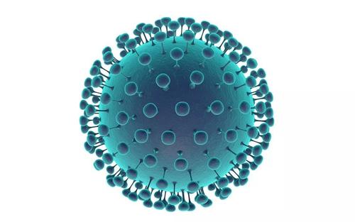病毒入侵细胞的首次精确模拟