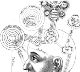 科学家们说我们的大脑有一个基本的算法可以实现我们的智力