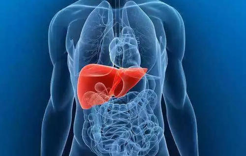 一项研究证明了筛查策略检测肝病的效率