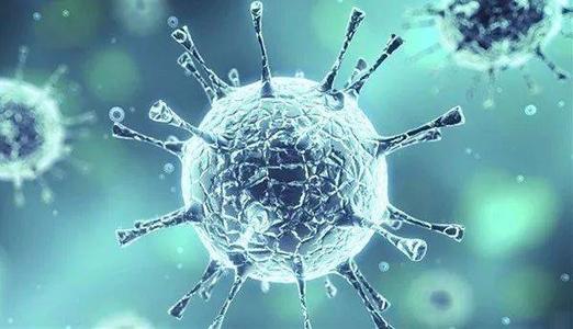 新的免疫系统研究有助于提高疫苗效力或对抗自身免疫性疾病