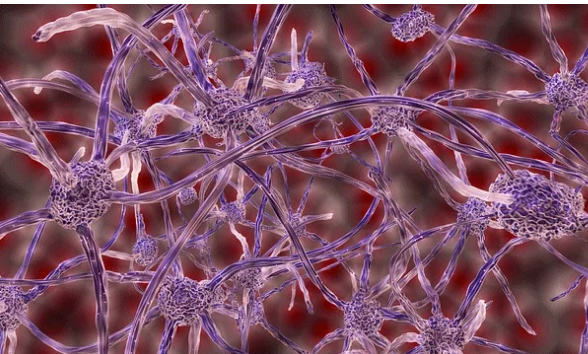 癌细胞与健康的脑细胞形成令人惊讶的联系