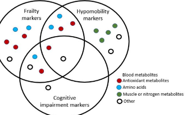 22种不同的血液代谢物它们与认知障碍和运动不足有关