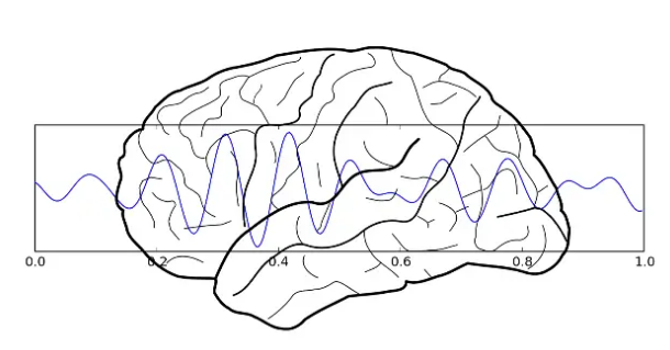 研究表明您可以通过自我调节神经振荡来提高学习能力
