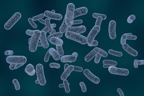 低温灭菌方法可以为细菌传播创造途径