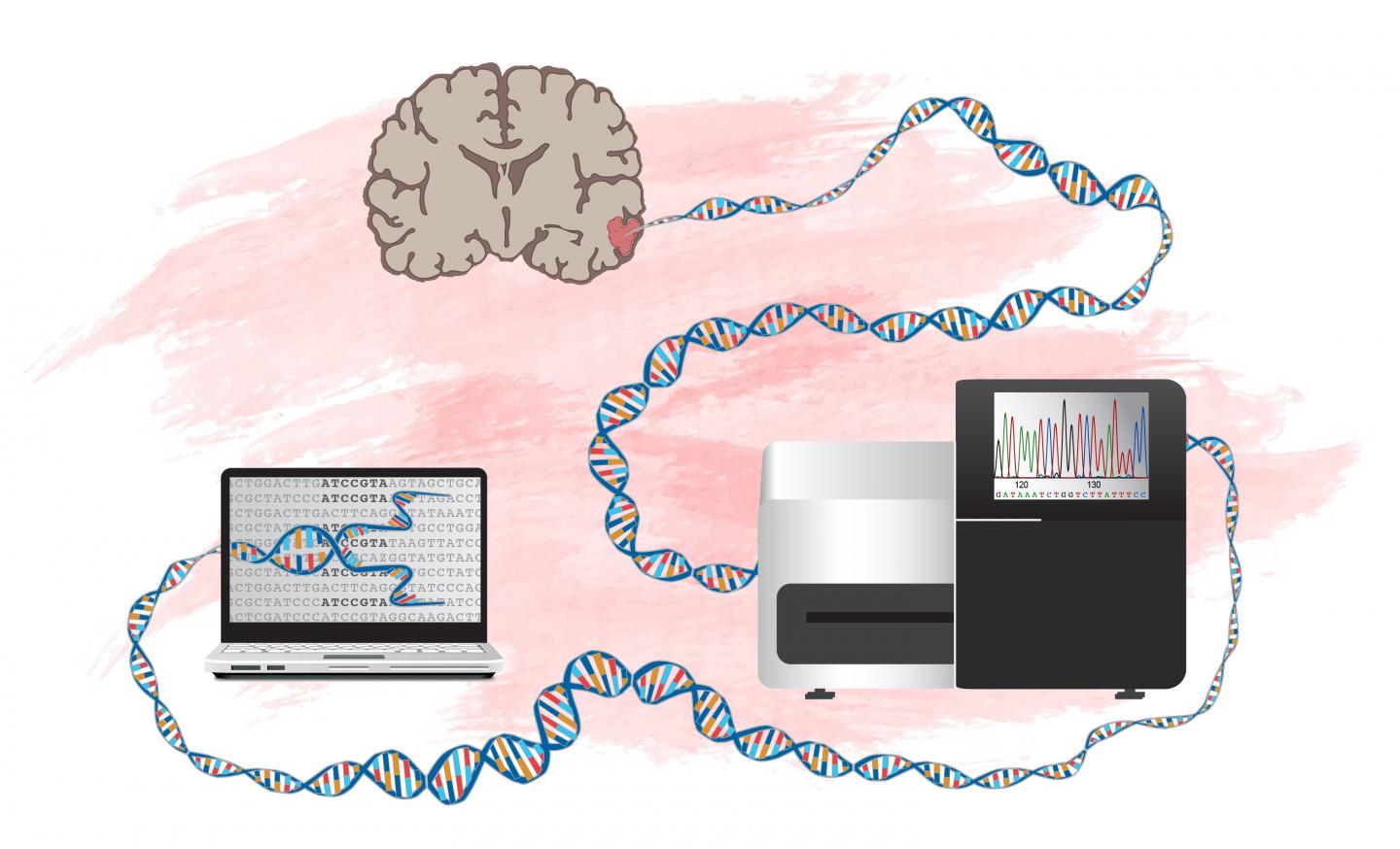 研究人员是如何识别可推动脑瘤发展的基因