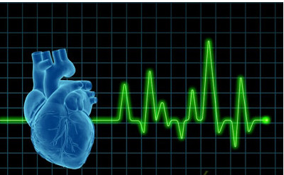 英美科学家发现DNA与心脏的电活动之间存在数百种新的联系
