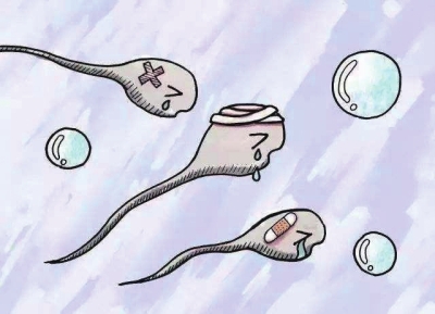 生殖器支原体在泌尿生殖道中存活的反应关键尚未发现