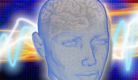 综合认知神经科学方法获得巨大的资金支持