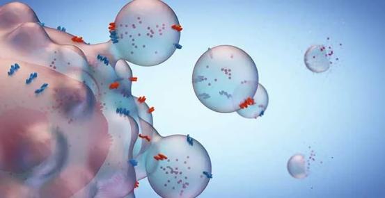 科学家发现了一种通过拉动插头能量发生器杀死胰腺癌细胞的新方法