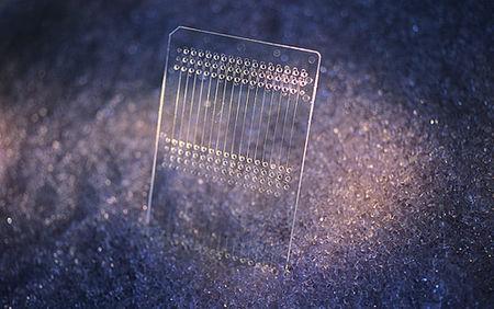 研究人员开发了用于芯片药物毒性筛选的生物芯片